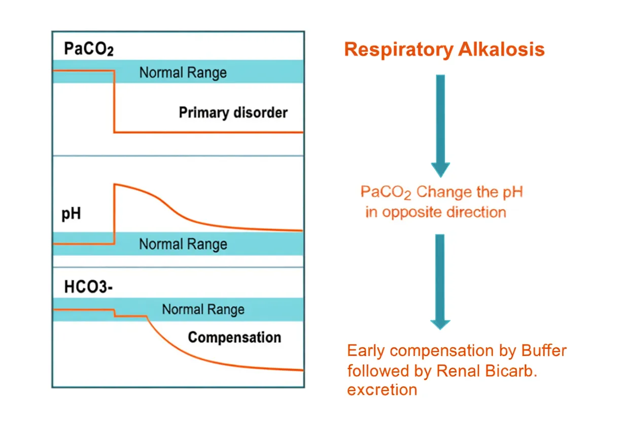 Fig 6 - Respiratory Alkalosis trend